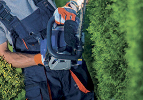 Taillage des haies et abatage des arbustes